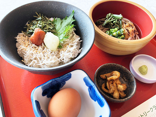 釜揚げしらすと蕎麦のミニ丼セット