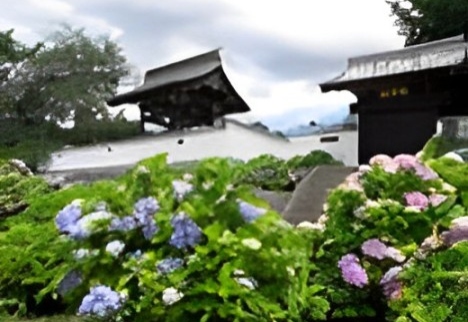 8.フランス式階段工・牛伏寺・馬場家住宅とアジサイ寺