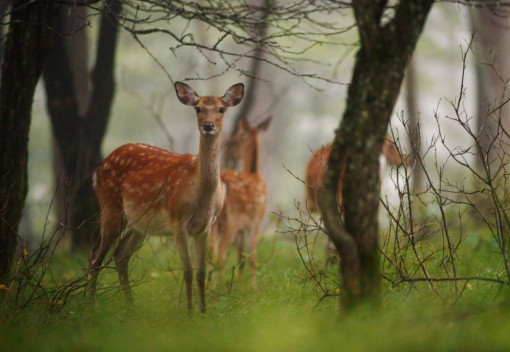 19.松本 ビーナスライン満喫コース
