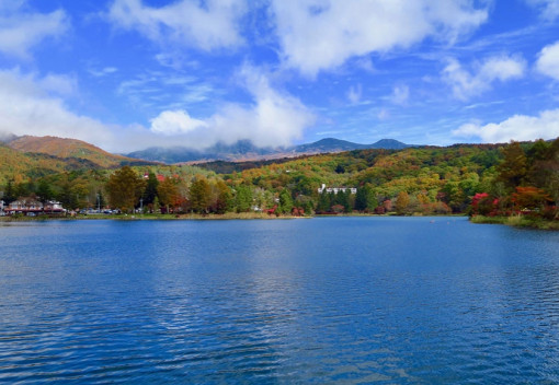 1.大自然を散策