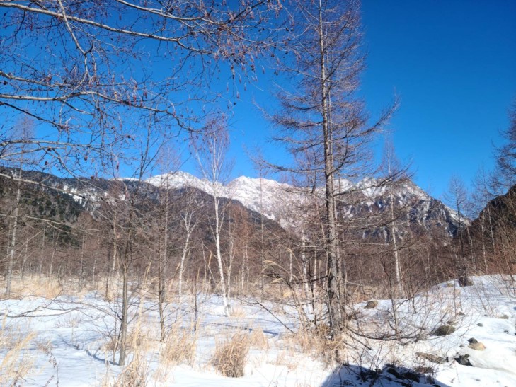 雪の上高地