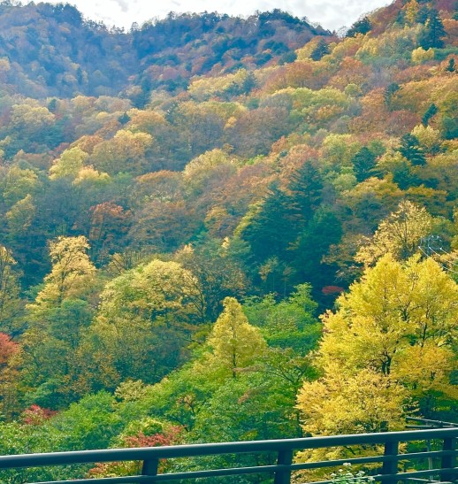 平湯温泉の紅葉