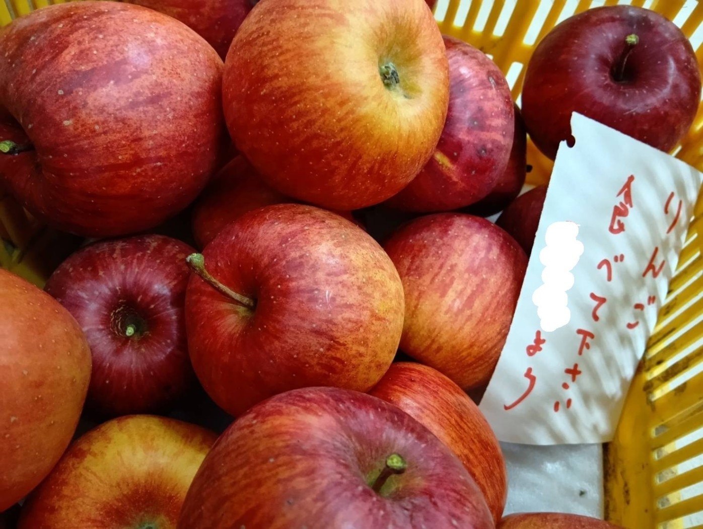 りんご差し入れ