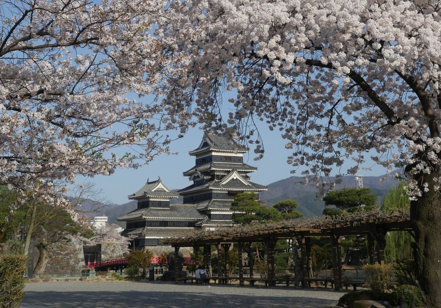 桜のトンネルと松本城