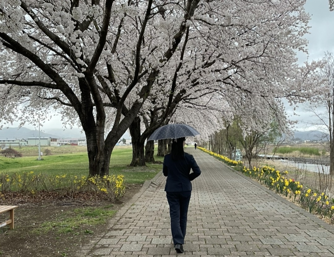 さくら咲く小径