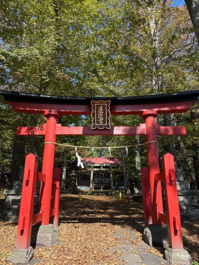 軽井沢町借宿にある遠近宮の赤い鳥居と、木々に囲まれた参道
