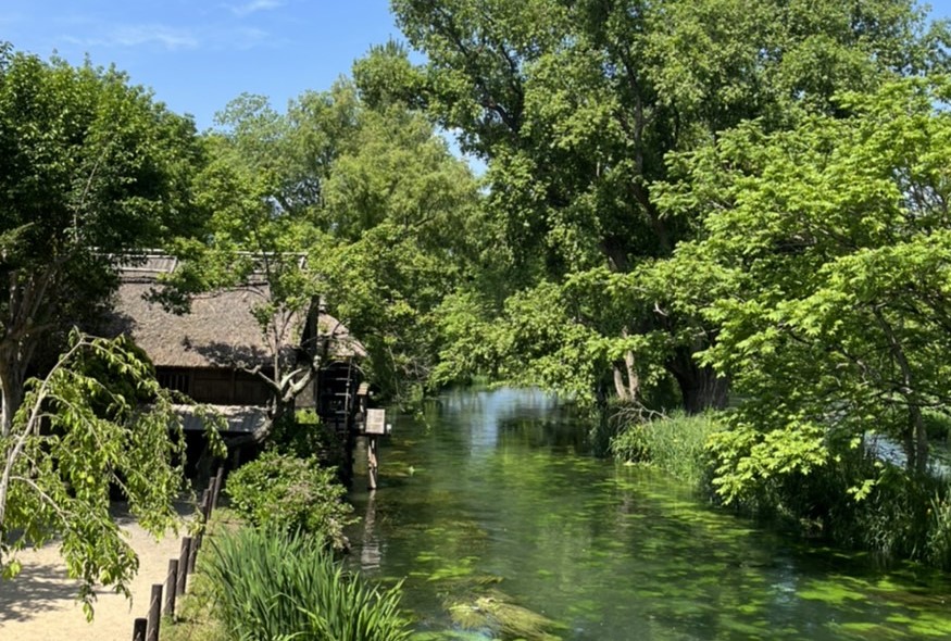 大王わさび農場