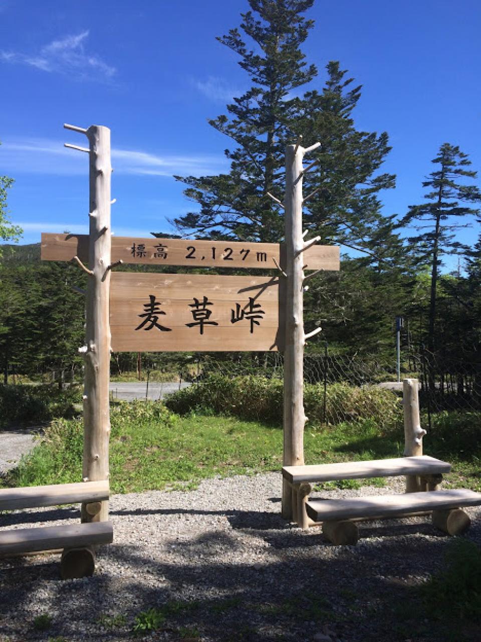 麦草峠