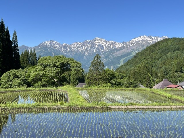 青鬼集落