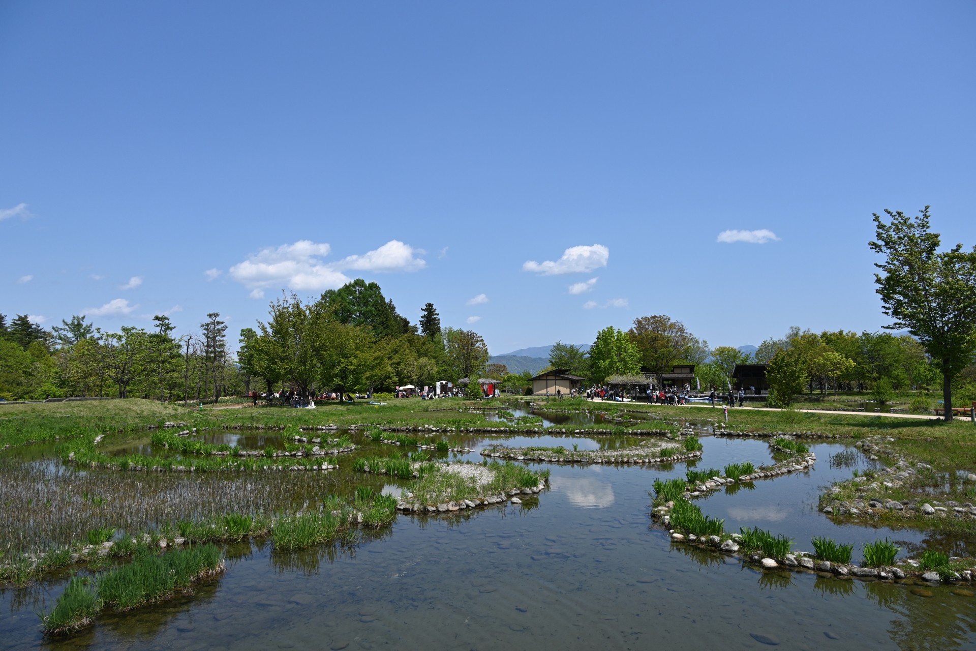 国営アルプスあずみの公園
