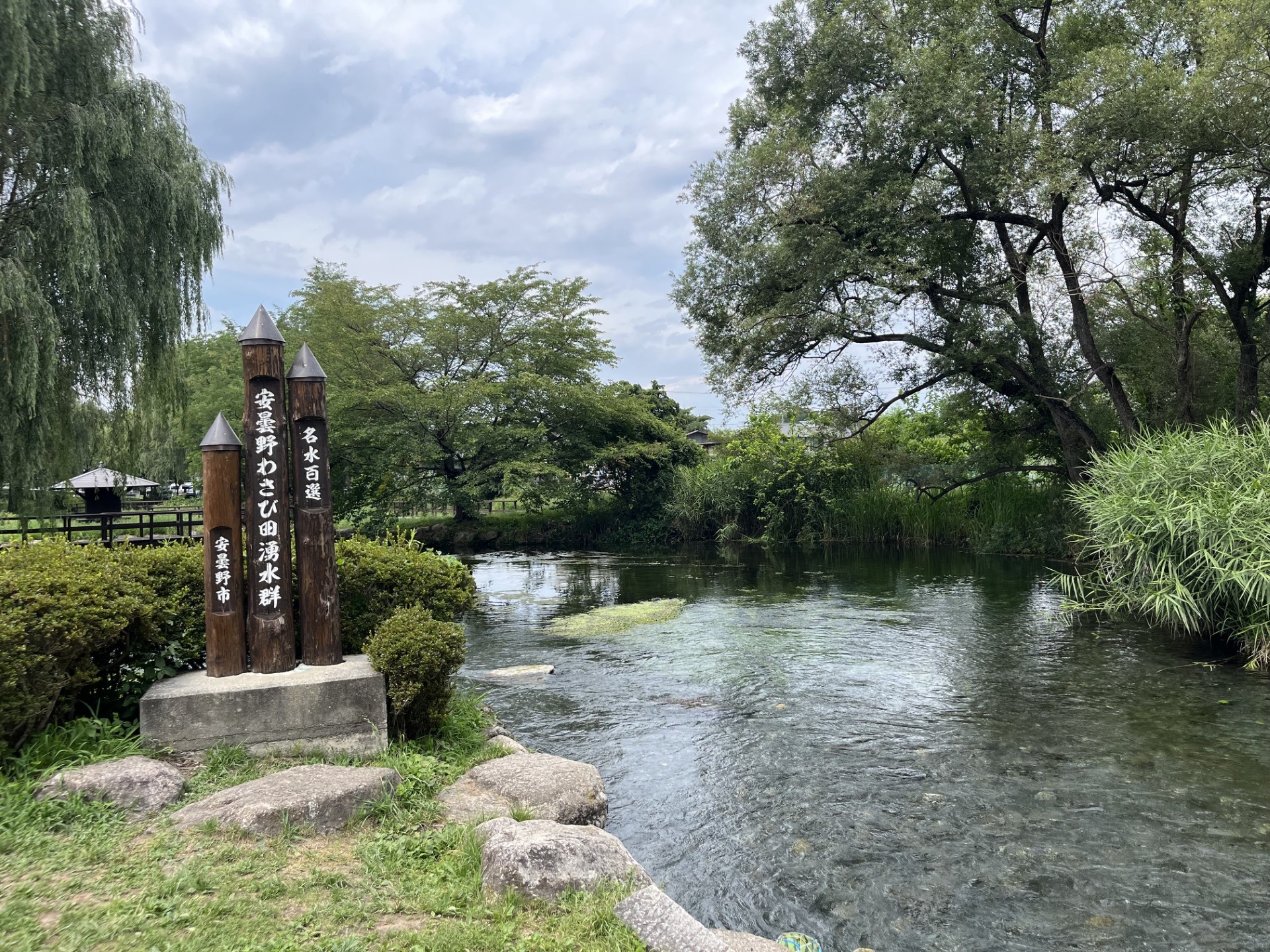 わさび田湧水群公園