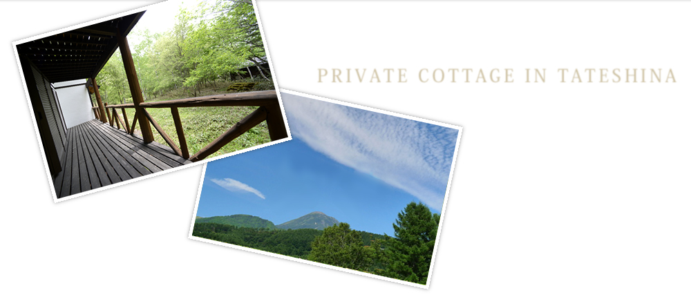 PRIVATE COTTAGE IN TATESHINA