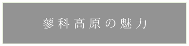 蓼科高原の魅力