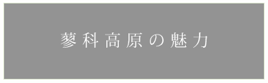 蓼科高原の魅力