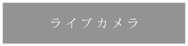 ライブカメラ