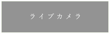 ライブカメラ