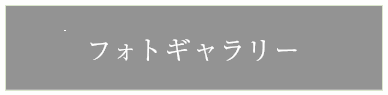 フォトギャラリー