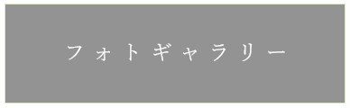 フォトギャラリー