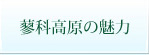 蓼科高原の魅力