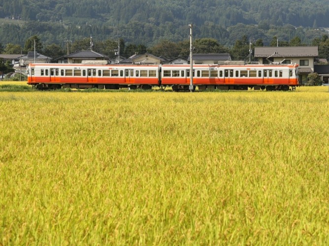 【鉄道】「モハ10形リバイバルカラー編成」（モハ3003号車＋クハ3004号車）の定期運行の終了について